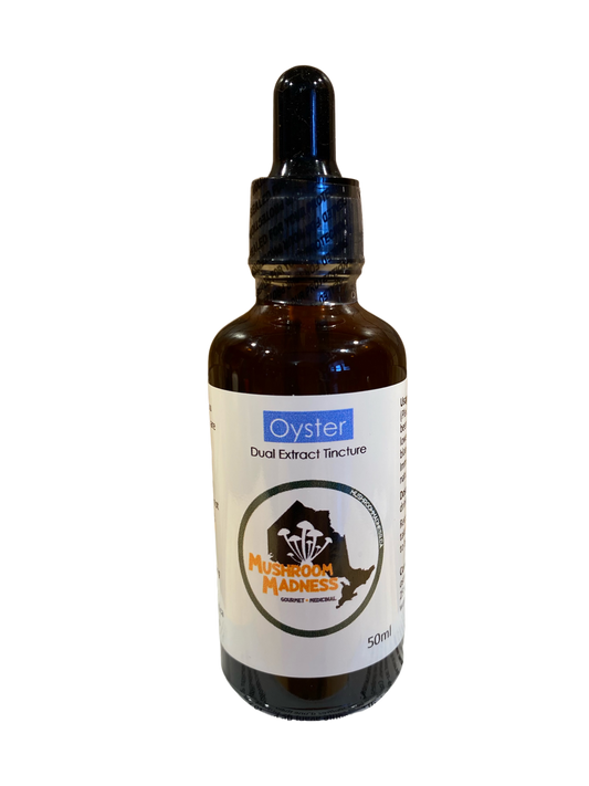 Oyster mushroom tincture