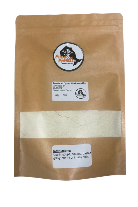 Lion's mane mushroom powder