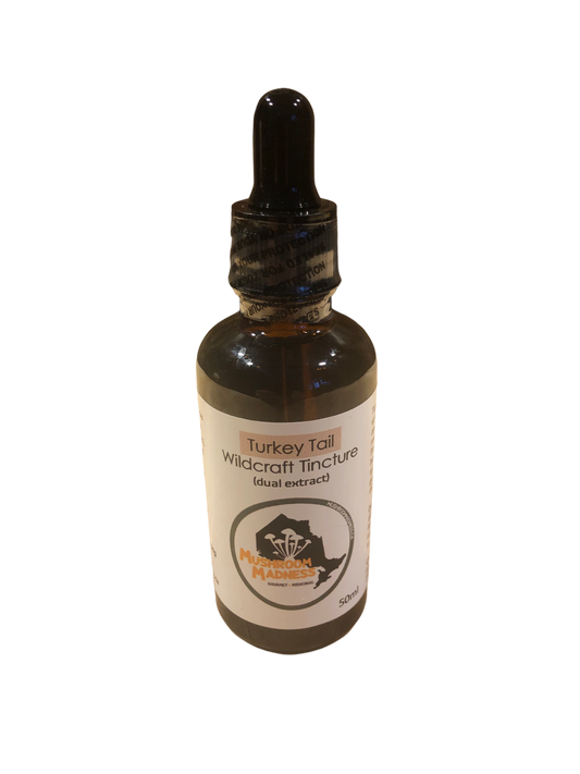 Turkey Tail tincture